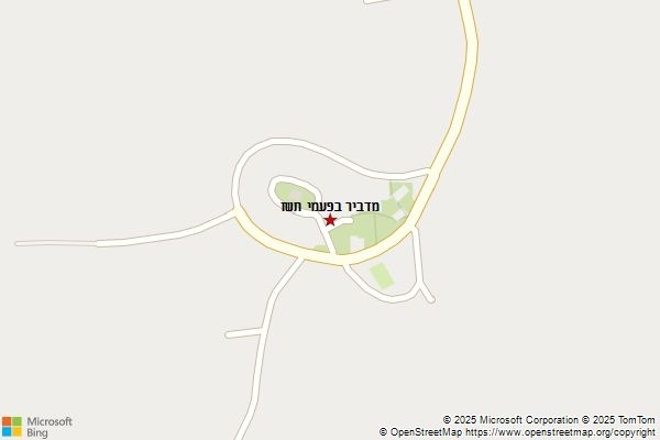 מדביר בפעמי תשז