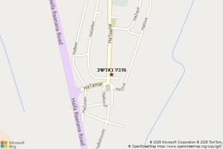 מדביר באלישיב - מדביר באלישיב
