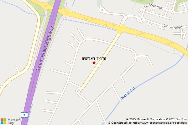 מדביר באליקים