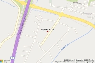 מדביר באליקים