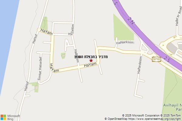 מדביר בחבצלת השרון