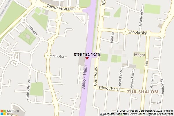 מדביר בצור שלום