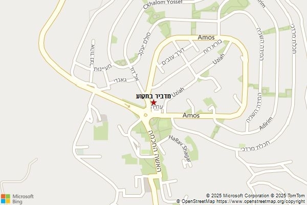 מדביר בתקוע