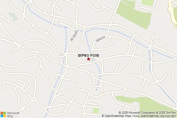 מדביר בעילוט