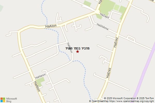 מדביר בכפר הנגיד
