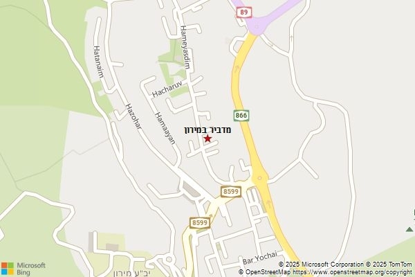 מדביר במירון