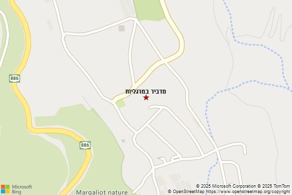מדביר במרגליות