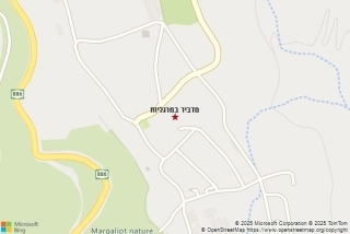 מדביר במרגליות - מדביר במרגליות