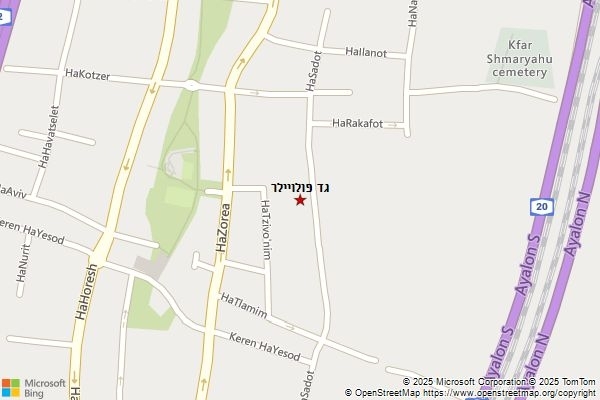 גד פולויילר