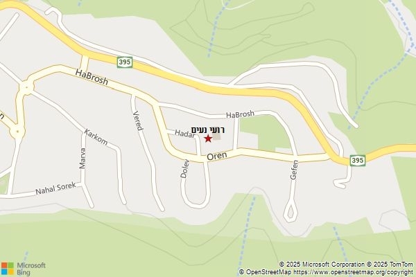 רועי נעים