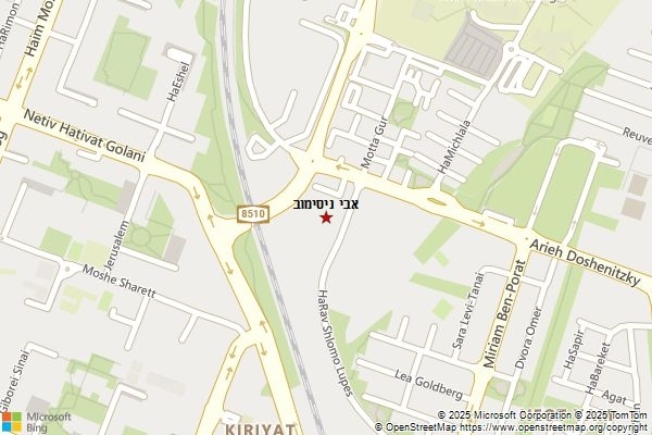 אבי ניסימוב
