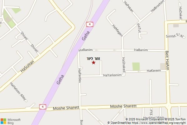 זהר ליור