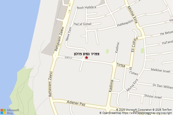 צפריר נסים פדלון