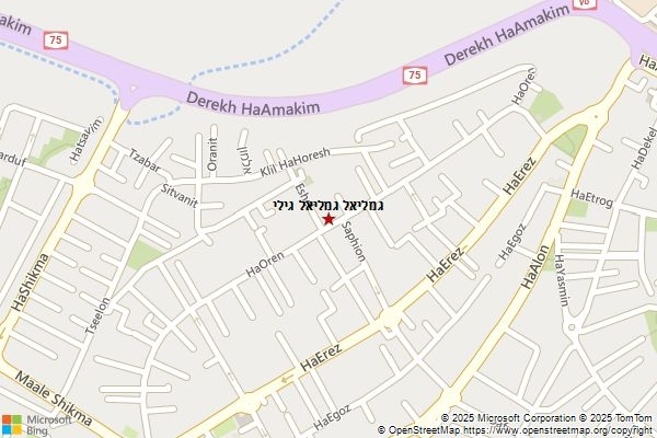 גמליאל גמליאל גילי