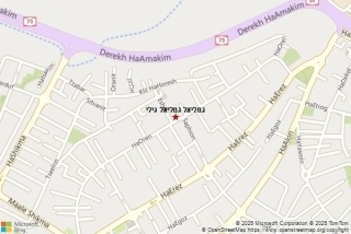 גמליאל גילי