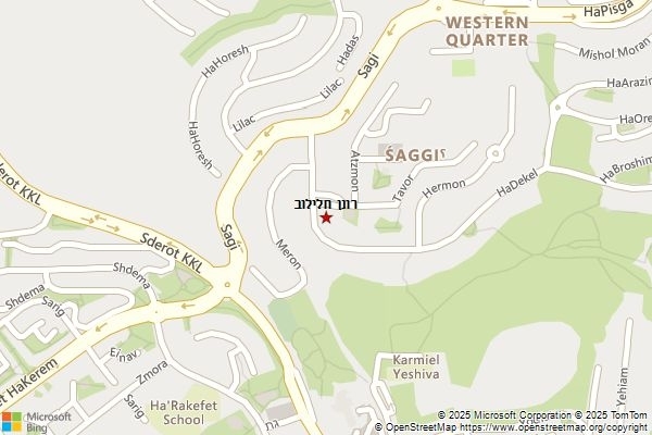 רונן חלילוב