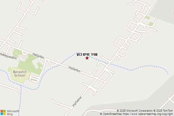שניר חיים כהן