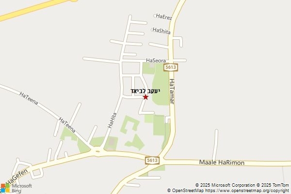 יעקב לביאד