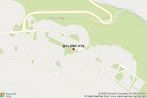 אריה יהודה ברקן