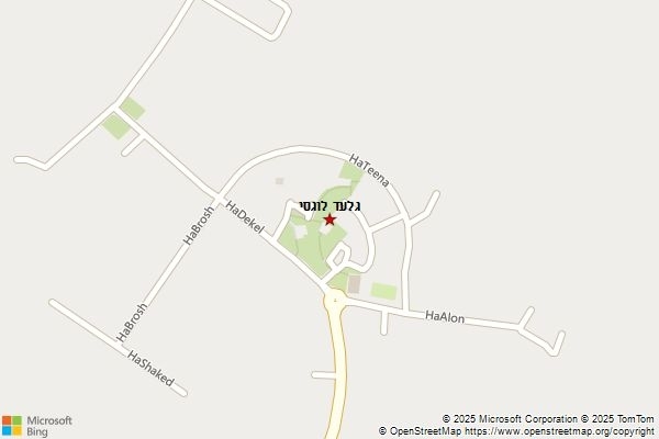 גלעד לוגסי