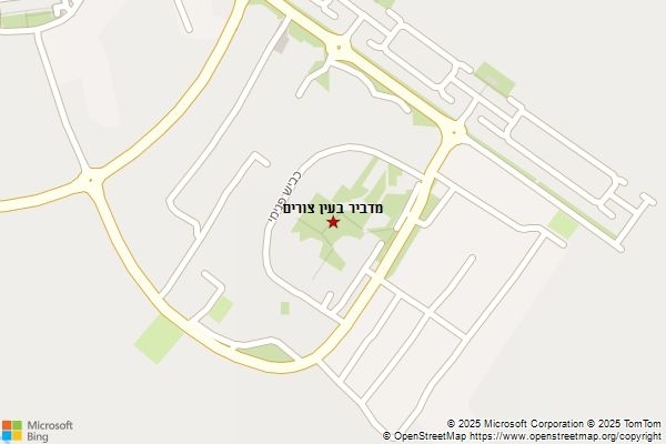 מדביר בעין צורים
