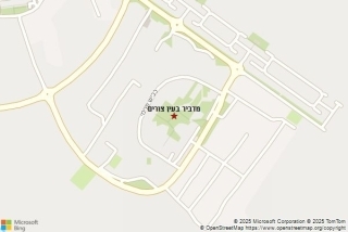 מדביר בעין צורים