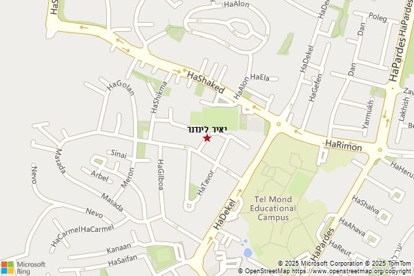 יאיר לינדנר