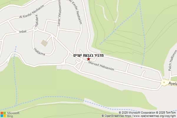 מדביר בגבעת יערים