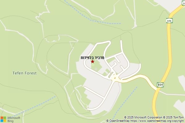 מדביר בלפידות