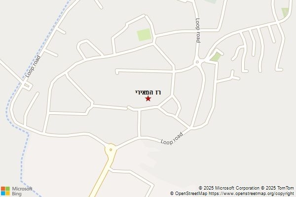 רז המאירי