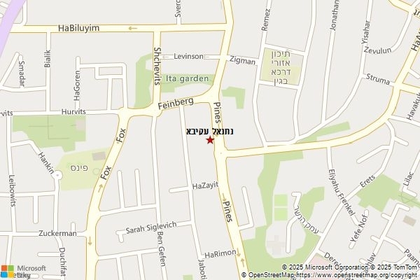 נתנאל עקיבא