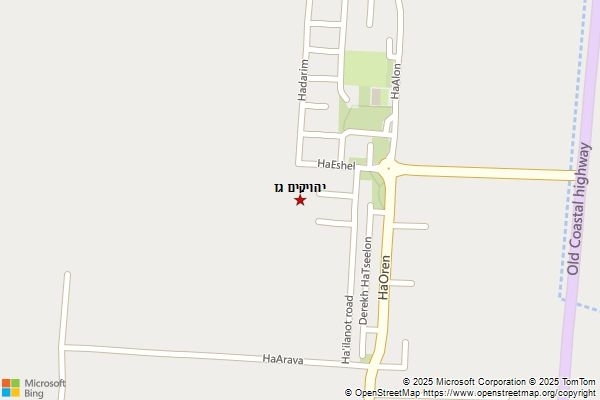 יהויקים גז