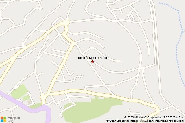 מדביר במגדל שמס