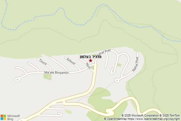 מדביר בעלמון