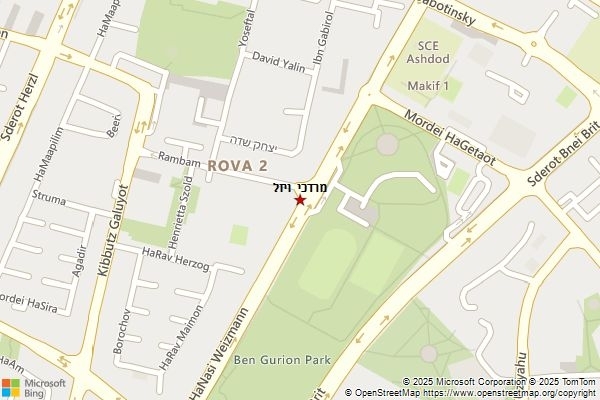 מרדכי ויזל