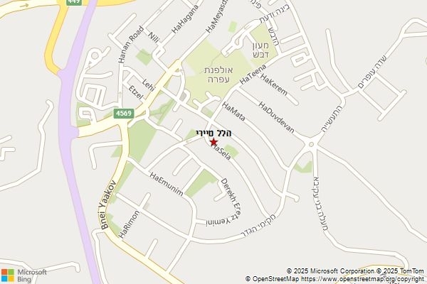 הלל טיירי