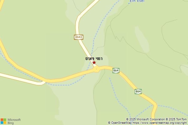 רמזי פארס