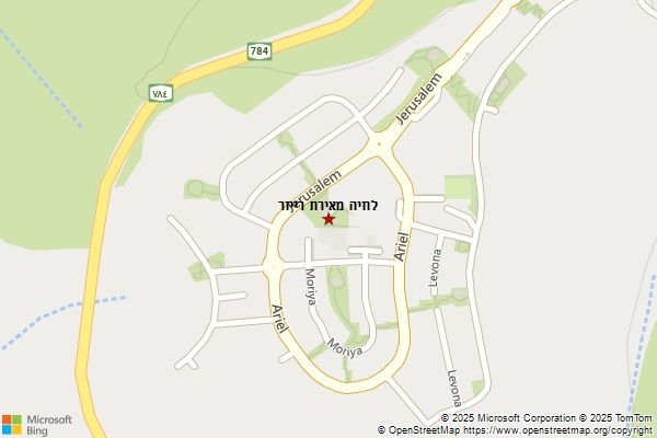 לוזיה מאירת רייזר