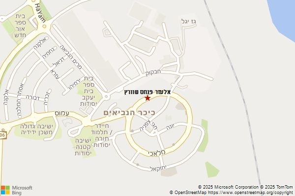 אלעזר פנחס שוורץ