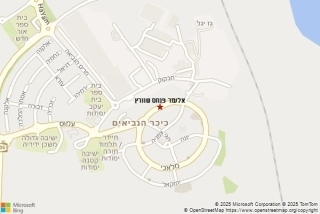 מדביר ביסודות - אלעזר פנחס שוורץ