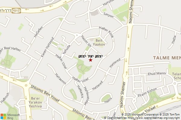 יצחק יאיר יצחק