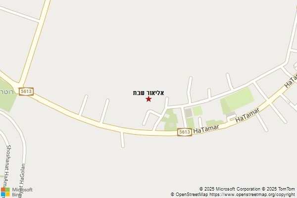 אליאור שבת