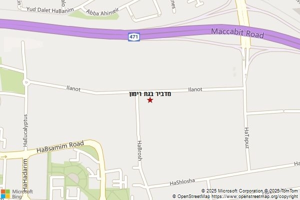 מדביר בגת רימון