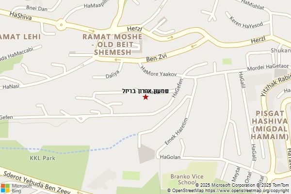 שמעון אהרון בריזל
