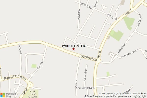 גבריאל רובינשטיין