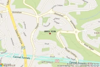 מדביר בחיפה - מדביר בחיפה