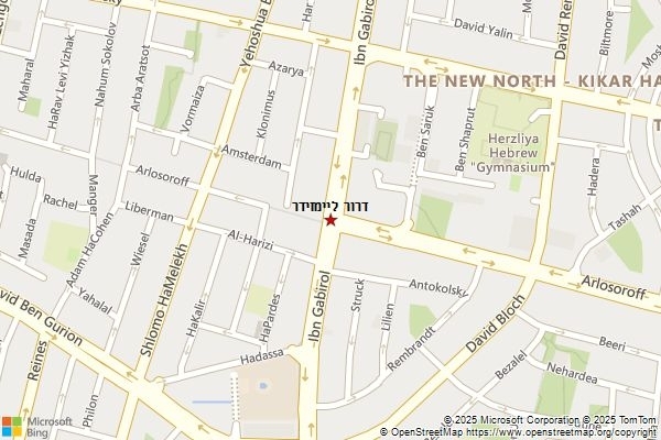 דרור ליימזידר