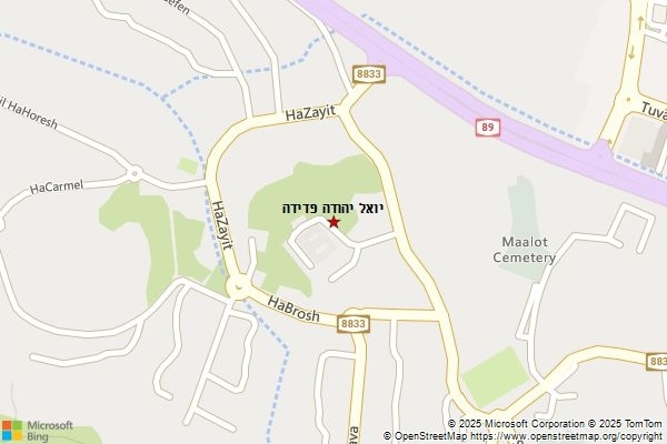 יואל יהודה פדידה