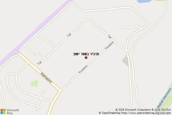מדביר בשאר ישוב