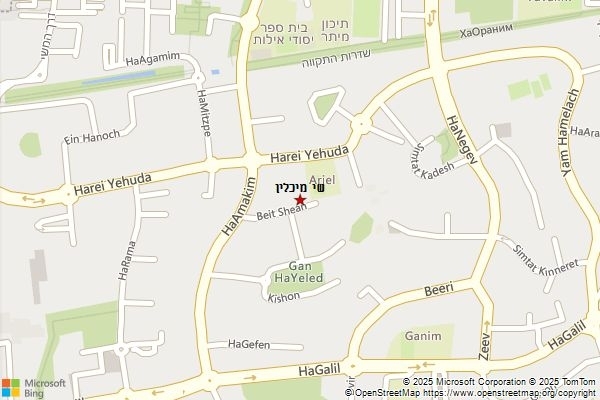 שי מיכלין